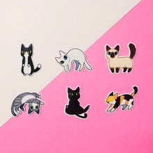 Load image into Gallery viewer, Cat Sticker Sets
